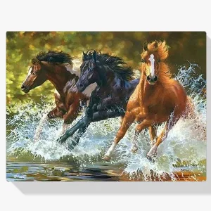 Más Vendido Pintura Diamante – Caballos en el agua