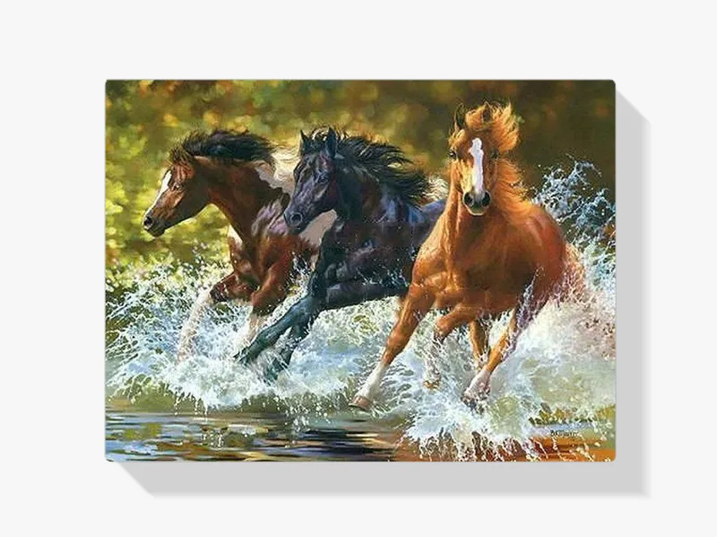 Más Vendido Pintura Diamante – Caballos en el agua