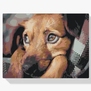 Envío Exprés Pintura Diamante – Cachorro