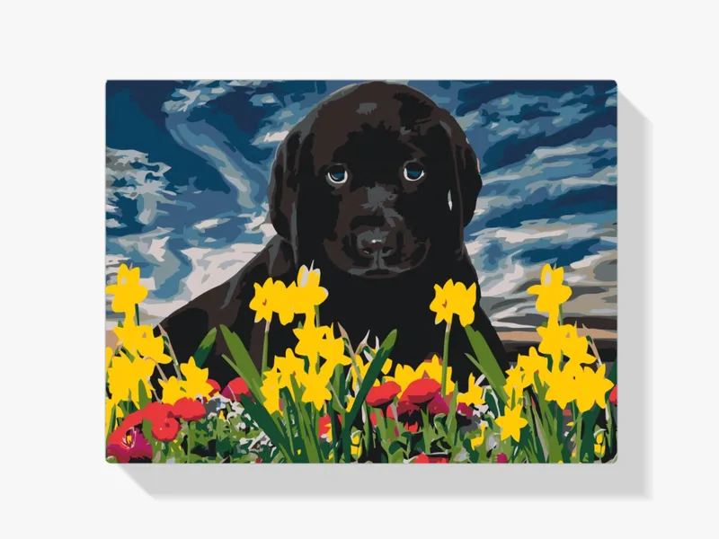 Pintura Diamante – Cachorro de labrador Nuevo Modelo