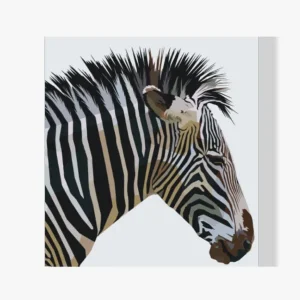 Pintura Diamante – Cebra cubista Precio Económico