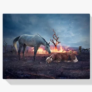 Pintura Diamante – Descanso de los caballos Bestseller