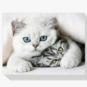 Pintura Diamante – Dulces gatitos De Moda