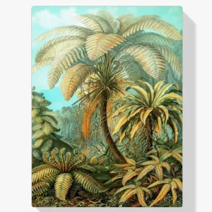 Pintura Diamante – Filicinae Ernst Haeckel Mejor Calidad