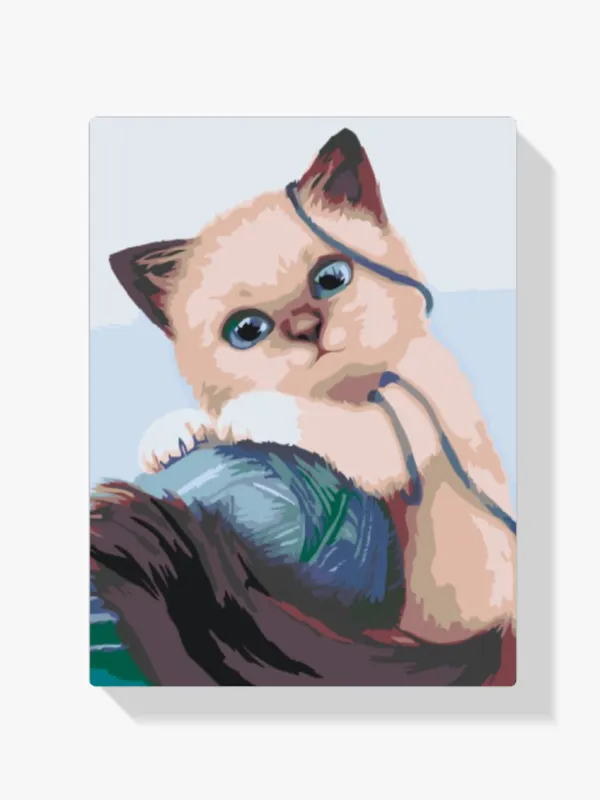 Ocasión Especial Pintura Diamante – Gatito con una pelota