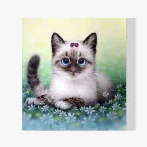 Pintura Diamante – Gatito Última Oportunidad