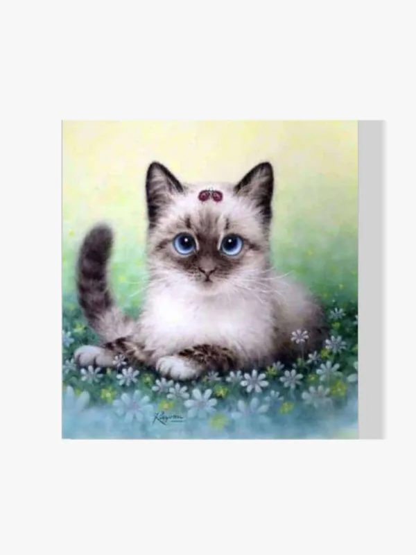 Pintura Diamante – Gatito Última Oportunidad