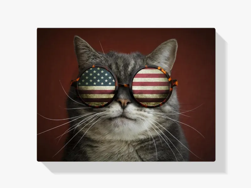 Compra Hoy Pintura Diamante – Gato americano