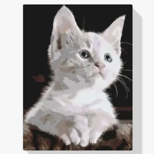 Pintura Diamante – Gato blanco Entrega Rápida