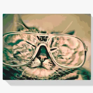 A Buen Precio Pintura Diamante – Gato con gafas