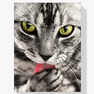 Marca Reconocida Pintura Diamante – Gato lame mano