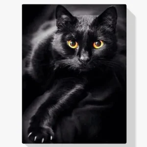Última Versión Pintura Diamante – Gato negro y ojos amarillos