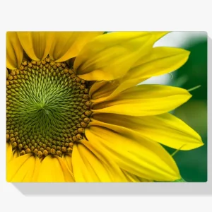 Pago Seguro Pintura Diamante – Girasol amarillo
