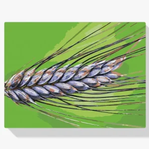 Pintura Diamante – Grano No Te Lo Pierdas