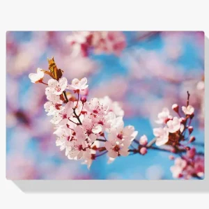 Pintura Diamante – Hermosa flor Auténtico