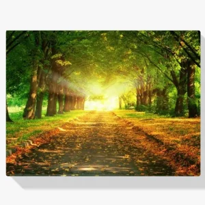 Pintura Diamante – Hojas en el bosque Artesanal