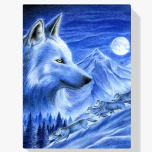Precio De Oferta Pintura Diamante – Lobos en la nieve
