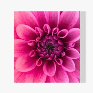 Disponible Ahora Pintura Diamante – Macro foto flor