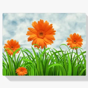 Envío Internacional Pintura Diamante – Margaritas naranjas