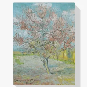 Promoción Exclusiva Pintura Diamante – Melocotonero