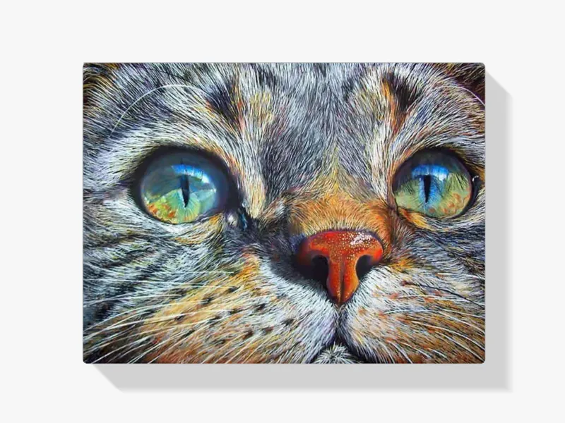 Hecho A Mano Pintura Diamante – Ojos de gato azules