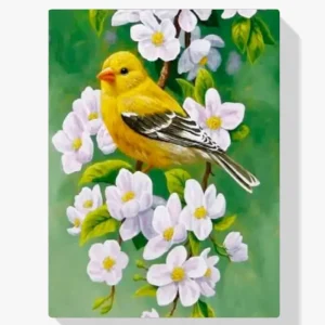 Pintura Diamante – Pájaro con flor Precio De Fábrica