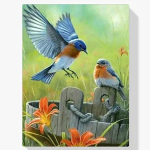 Hecho A Mano Pintura Diamante – Pechos rojos