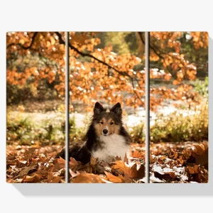 Pintura Diamante – Perro en el bosque 3 paneles Ordenar Ahora Mismo