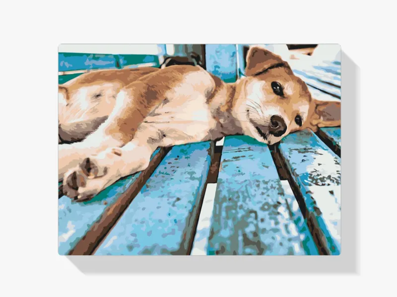 Pintura Diamante – Perro perezoso Garantía Incluida
