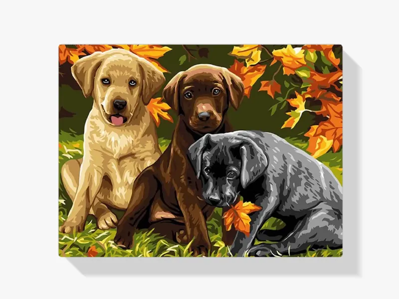 Mejor Calidad Pintura Diamante – Perros hermosos