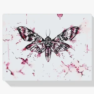 Pintura Diamante – Pintar una mariposa Mejor Precio