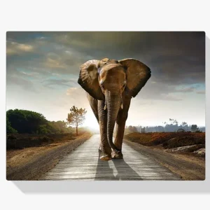 A Buen Precio Pintura Diamante – Safari Elefante
