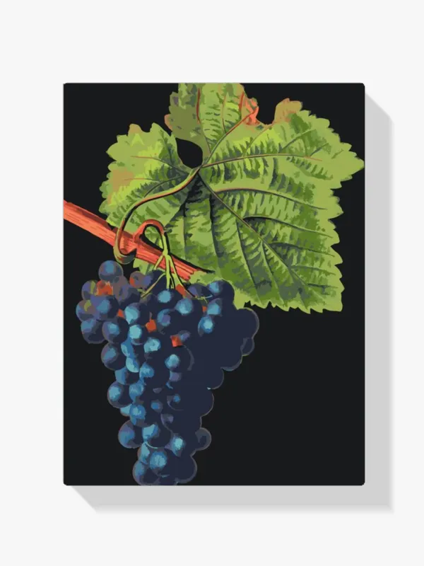 Pintura Diamante – Uvas de vendimia Garantía Incluida