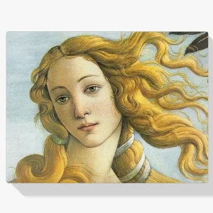 Pintura Diamante – Venus Promoción