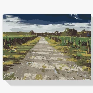 Profesional Pintura Diamante – Viñedos toscanos