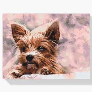 Pintura Diamante – Yorkshire Precio Bajo