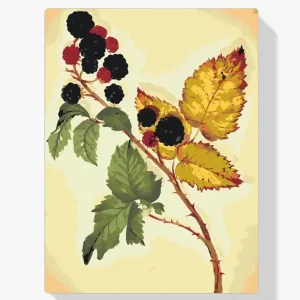 Solo Por Tiempo Limitado Pintura Diamante – Zarzamora vintage