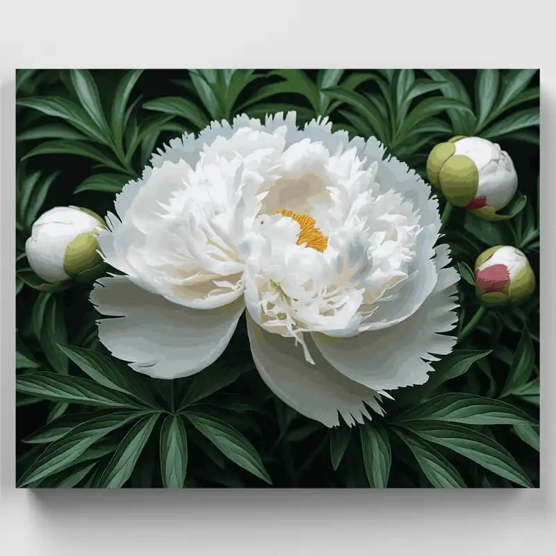 Devolución Gratuita Flor de Peonía Blanca - Kit de pintar por números - Lienzo Enrollado / 24 Colores