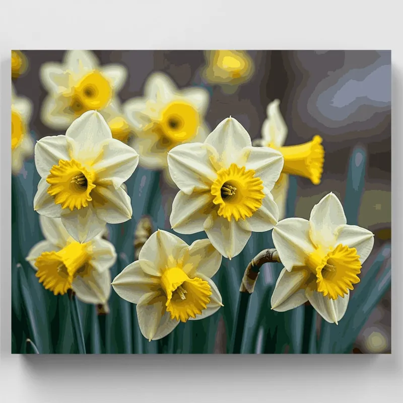 Comprar En Línea Narcisos Brillantes de Primavera - Kit de pintar por números - Lienzo Enrollado / 24 Colores
