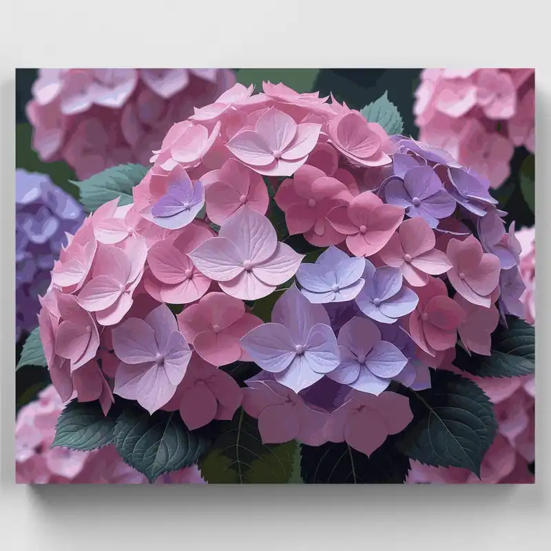 Hortensias Rosas y Moradas - Kit de pintar por números - Lienzo Enrollado / 24 Colores Oferta Flash