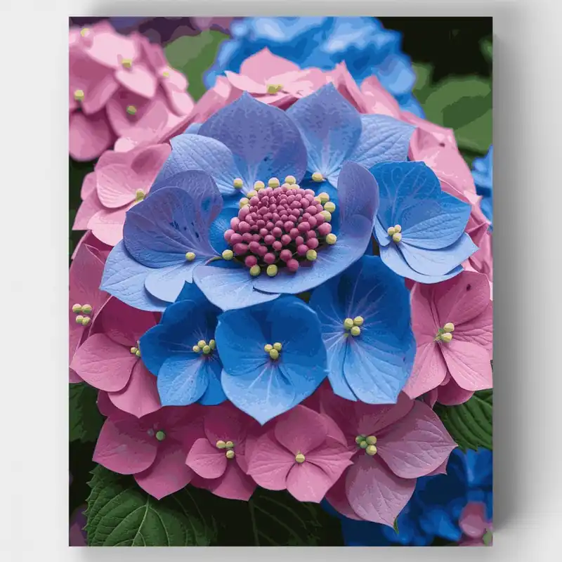 Hortensias Azules y Rosas Vibrantes - Kit de pintar por números - Lienzo Enrollado / 24 Colores Ordena Ya