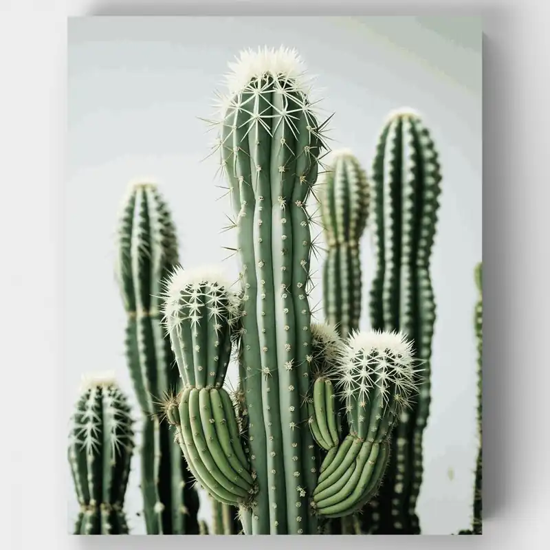 Envío Inmediato Jardín de Cactus del Desierto - Kit de pintar por números - Lienzo Enrollado / 24 Colores