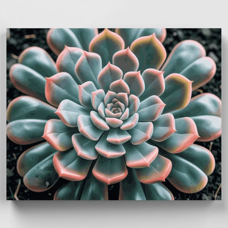 Suculenta Espiral - Kit de pintar por números - Lienzo Enrollado / 24 Colores Últimas Unidades