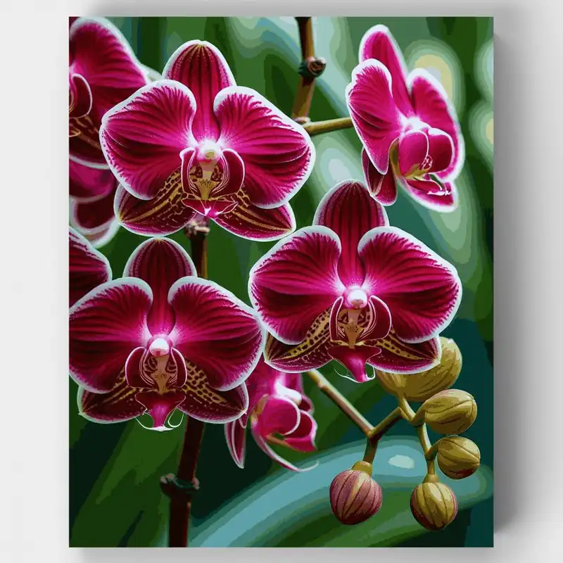 Auténtico Orquídeas Púrpuras Vibrantes - Kit de pintar por números - Lienzo Enrollado / 24 Colores