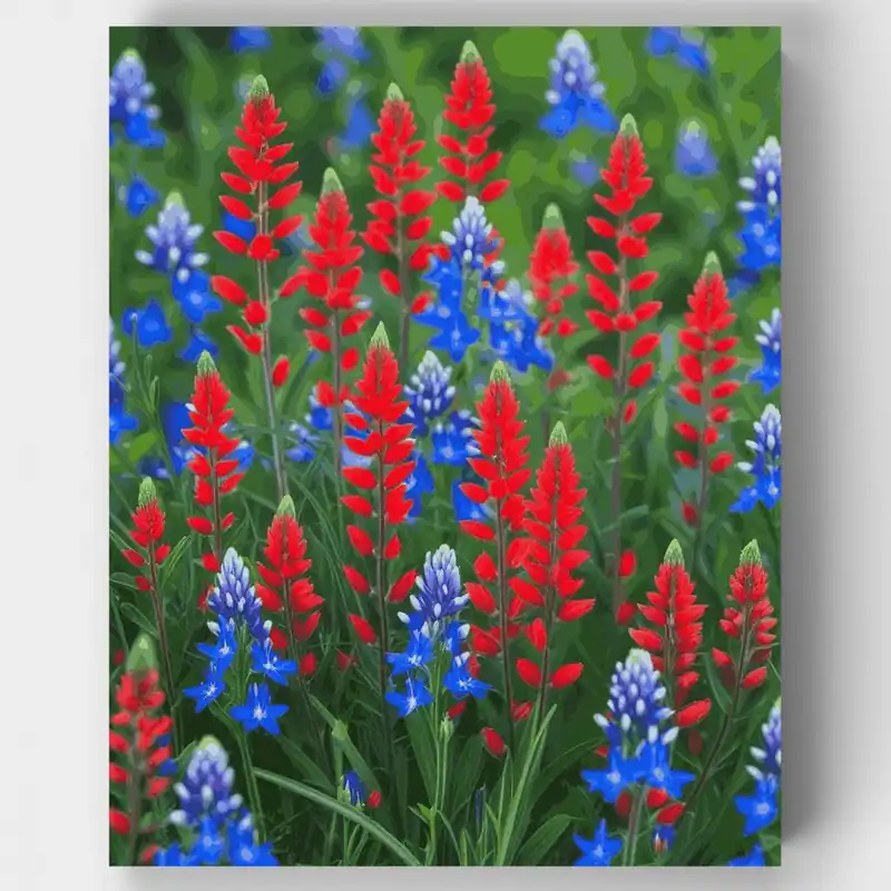 Comprar En Línea Campo de Flores Silvestres Rojas y Azules - Kit de pintar por números - Lienzo Enrollado / 24 Colores