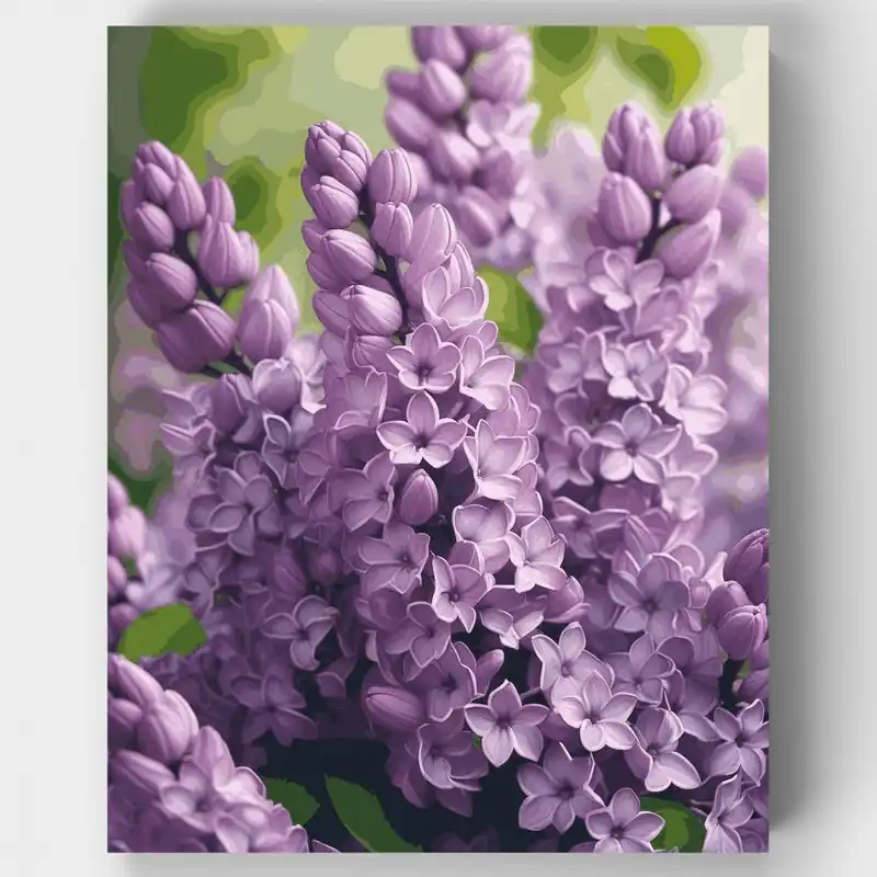 Fragantes Racimos de Lila - Kit de pintar por números - Lienzo Enrollado / 24 Colores Nueva Colección