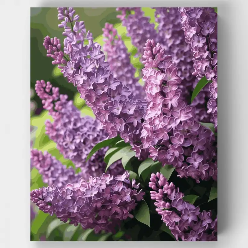 Liquidación Jardín de Lilas en Flor - Kit de pintar por números - Lienzo Enrollado / 24 Colores