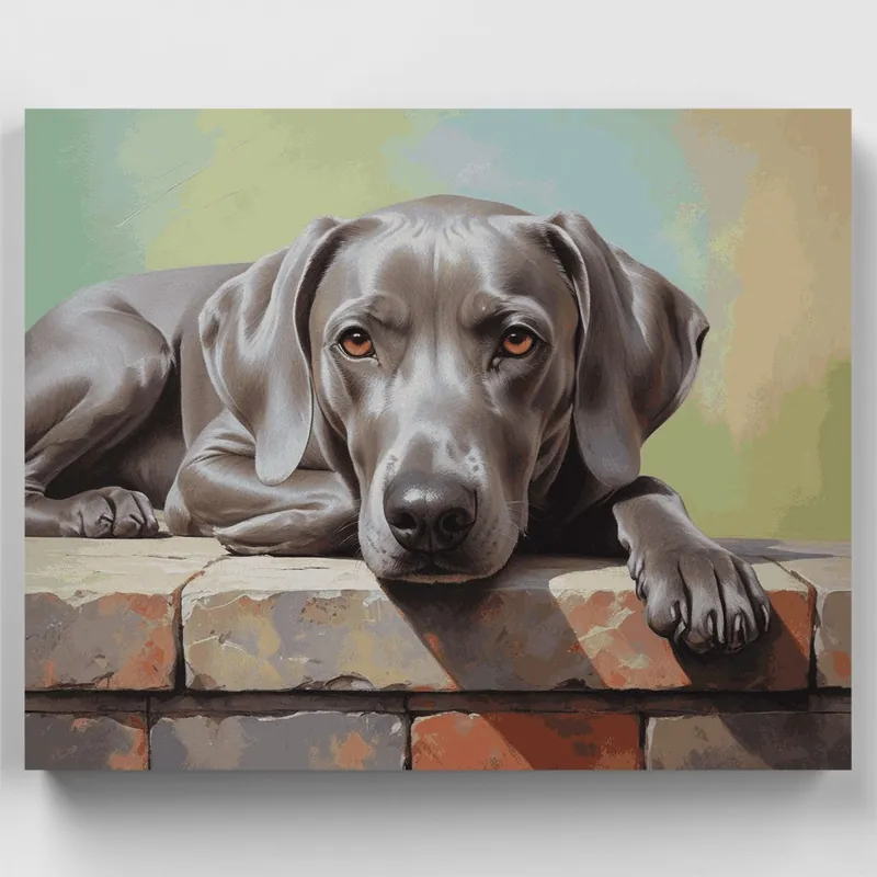 Retrato de Perro Weimaraner - Kit de pintar por números - Lienzo Enrollado / 24 Colores Nuevo Modelo