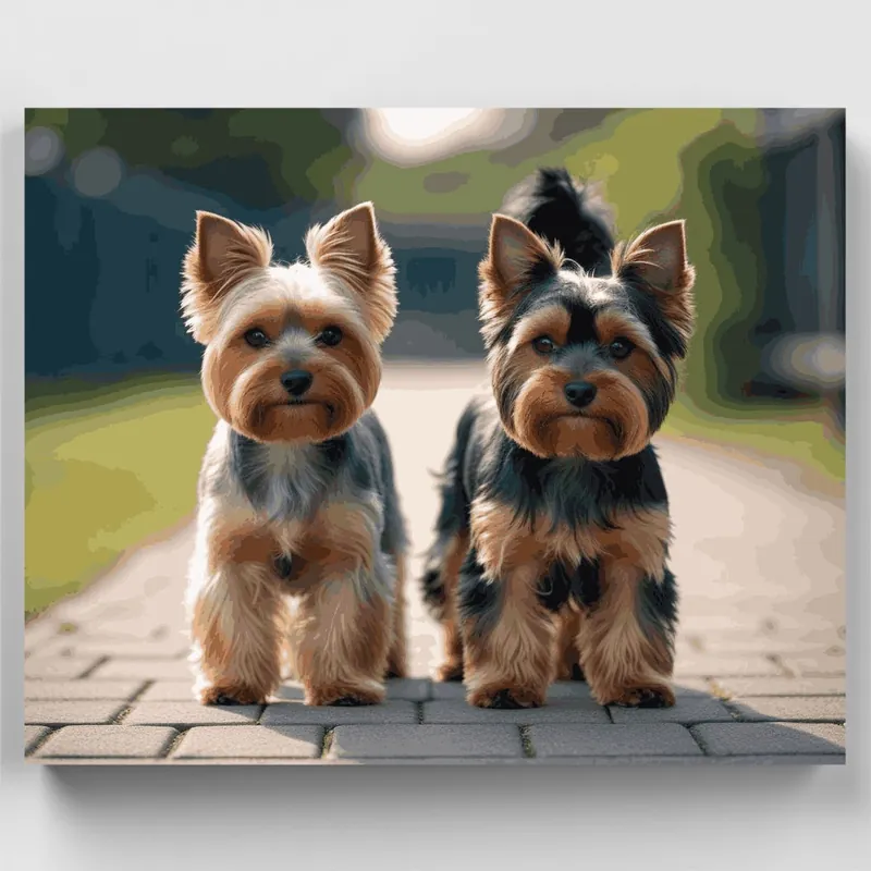 Retrato Dúo de Yorkshire Terrier - Kit de pintar por números - Lienzo Enrollado / 24 Colores Ordena Ya