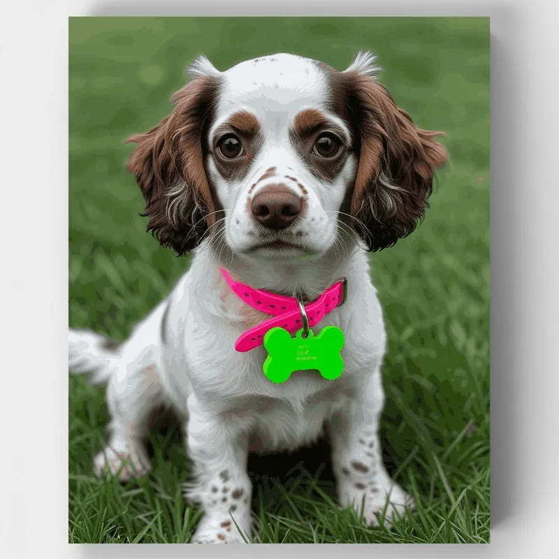 Envío Internacional Adorable Spaniel con Collar Rosa - Kit de pintar por números - Lienzo Enrollado / 24 Colores